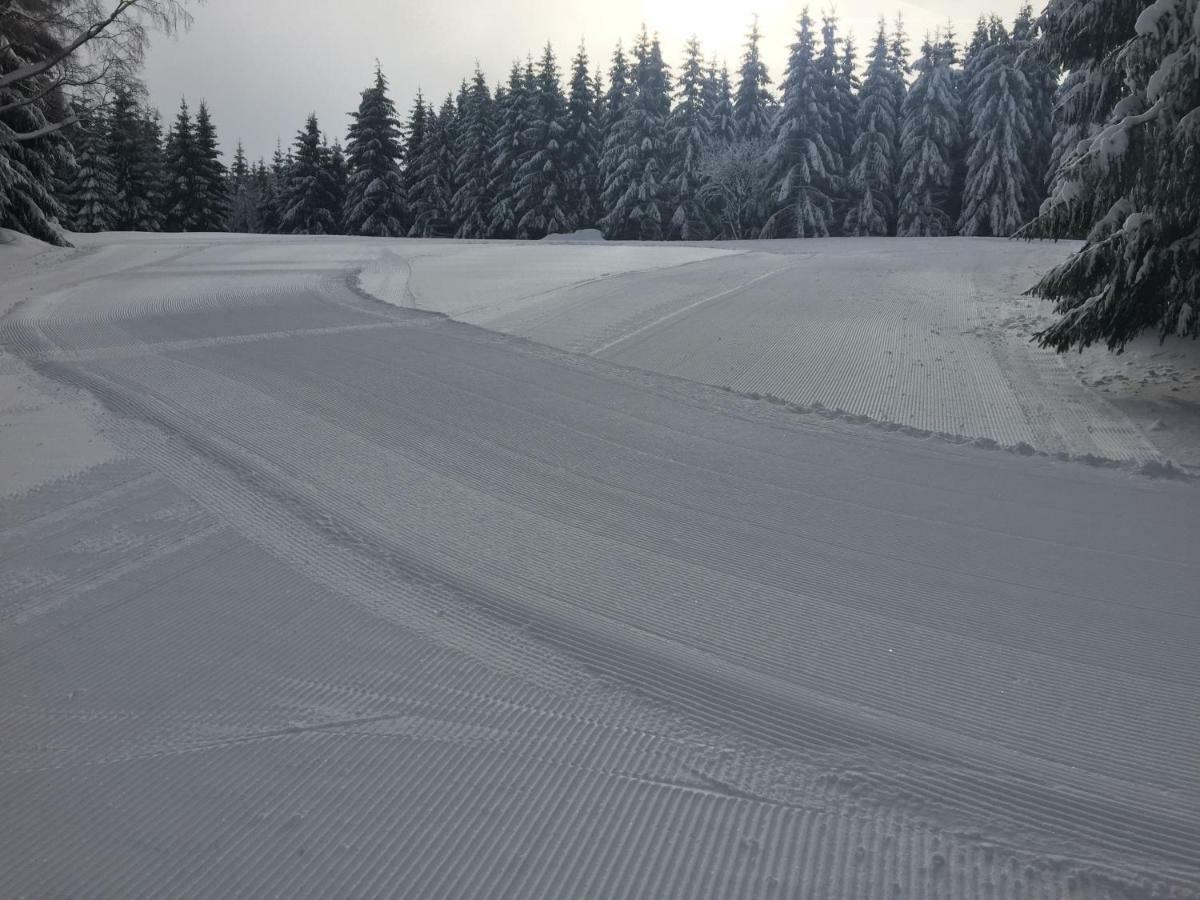 Penzion U Rybníka Mariánská Exteriér fotografie